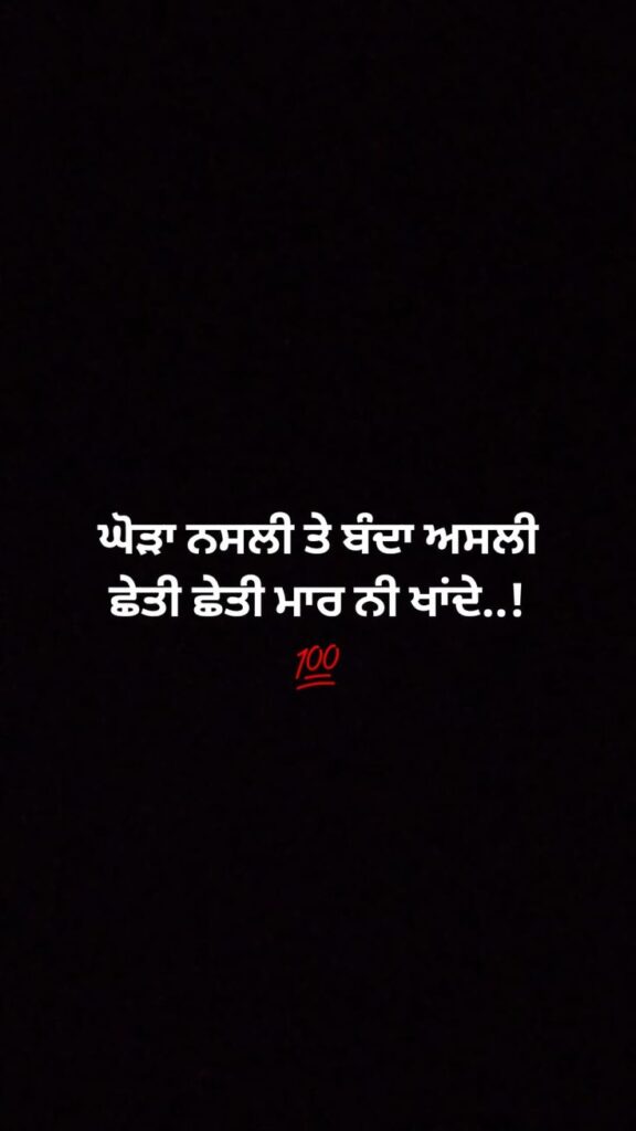 Punjabi Shayari Image